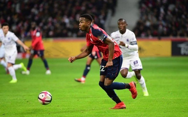 欧冠冠军 欧冠冠军