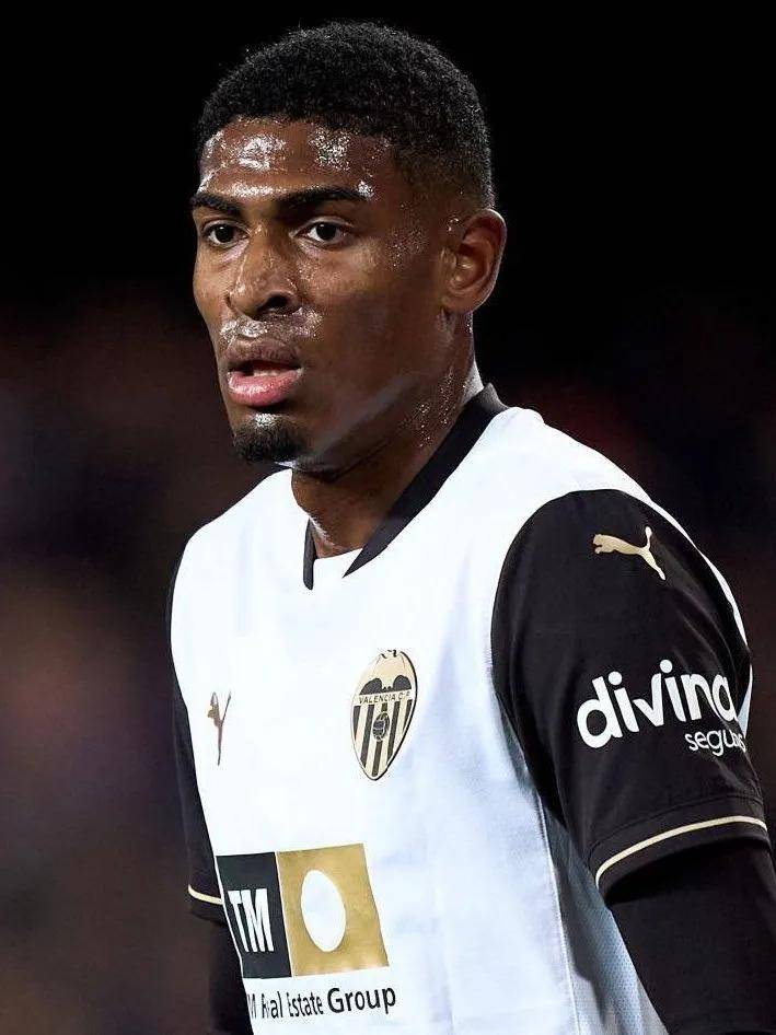 这使黄蜂的 这使黄蜂的